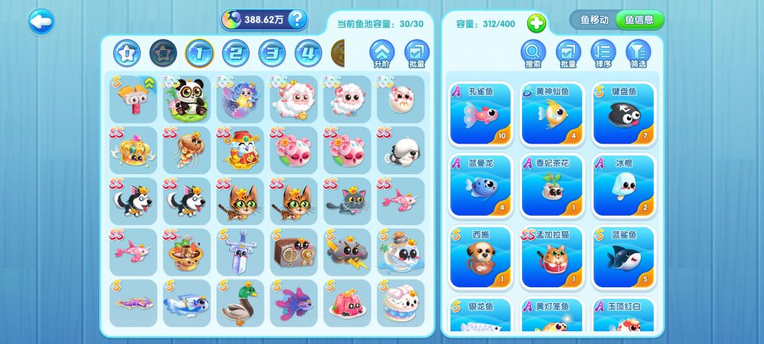 #萌鱼泡泡·童趣萌鱼秀 ID:1167856 1
