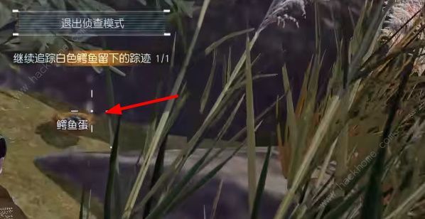 传奇动物白鳄女王任务攻略 3