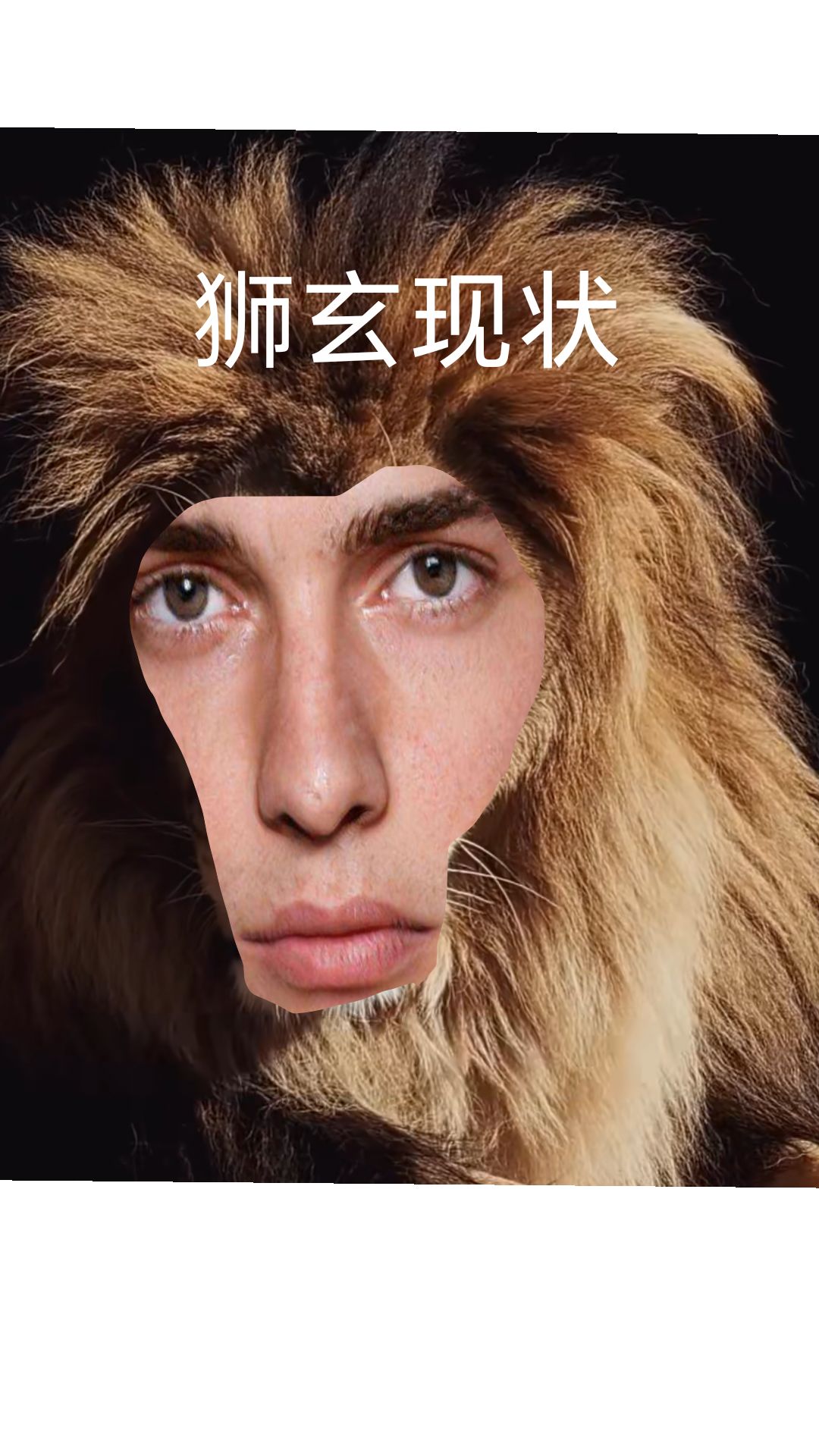 让策划看下现在狮玄的建模多需要全改 3