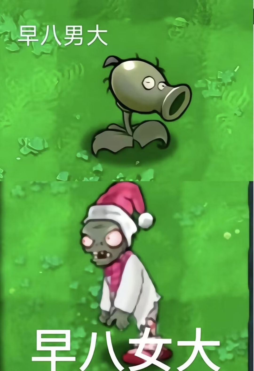 PVZ痛苦大学生系列植物一览😆 4