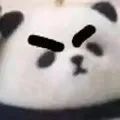 是没有十连嘛截图