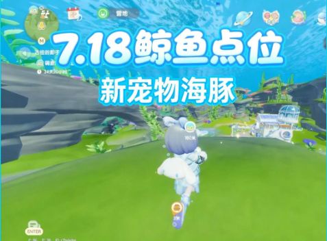 7.18寻找小鲸鱼和海豚点位截图