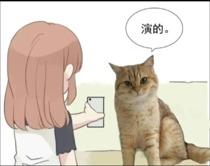 宝藏游戏又又又送皮肤啦截图