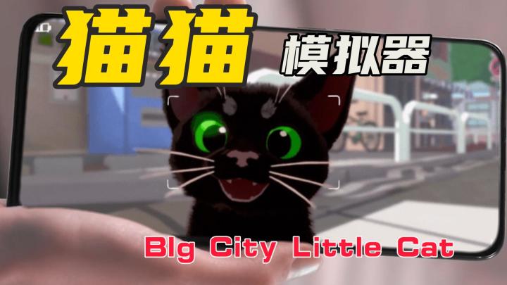 小猫咪大冒险：都市归途截图