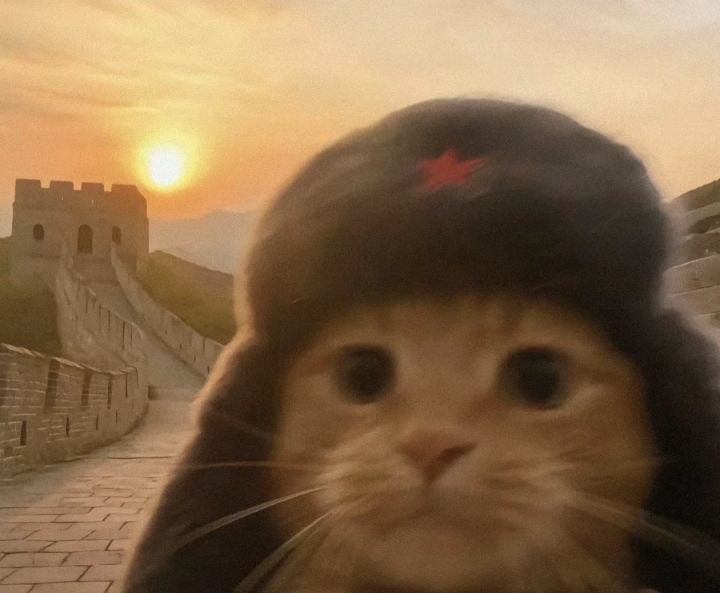 下列游戏找个固排截图