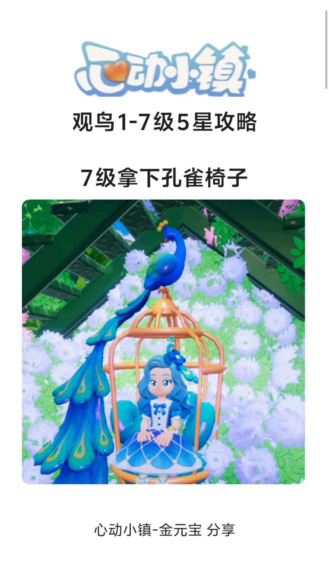 观鸟1-7级5星攻略,7级拿下孔雀椅子 1