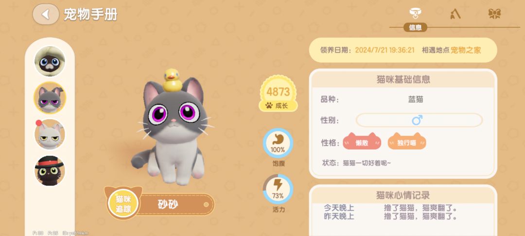 晒一晒我家猫猫 3