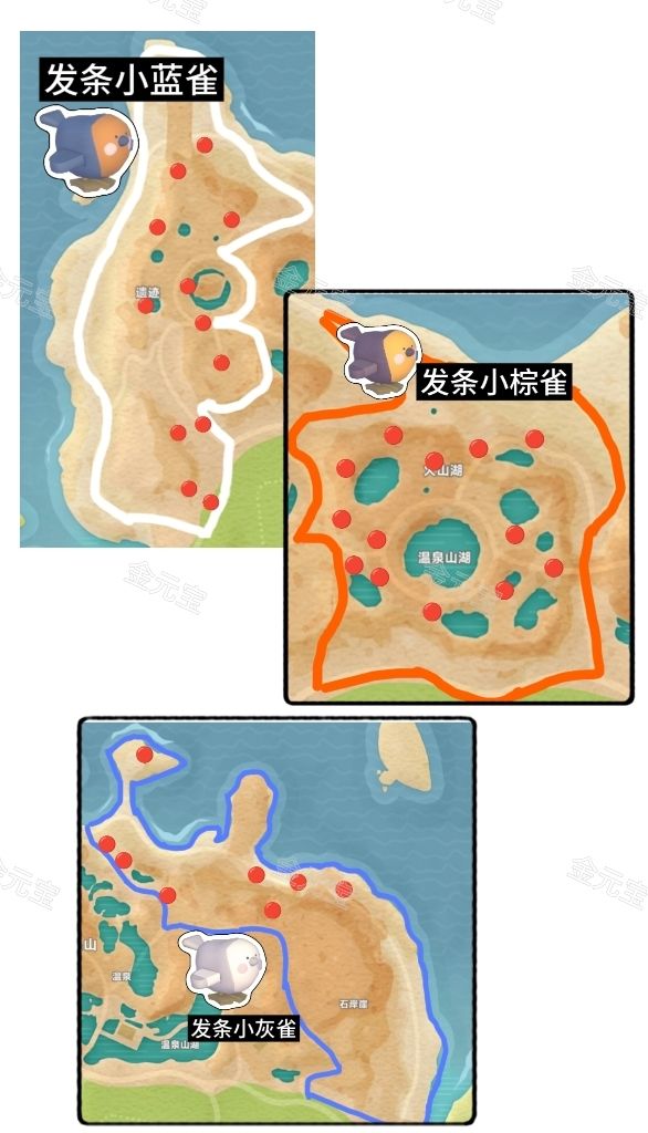 充满智慧的眼神 3