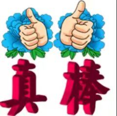 真棒,估计是没有的截图