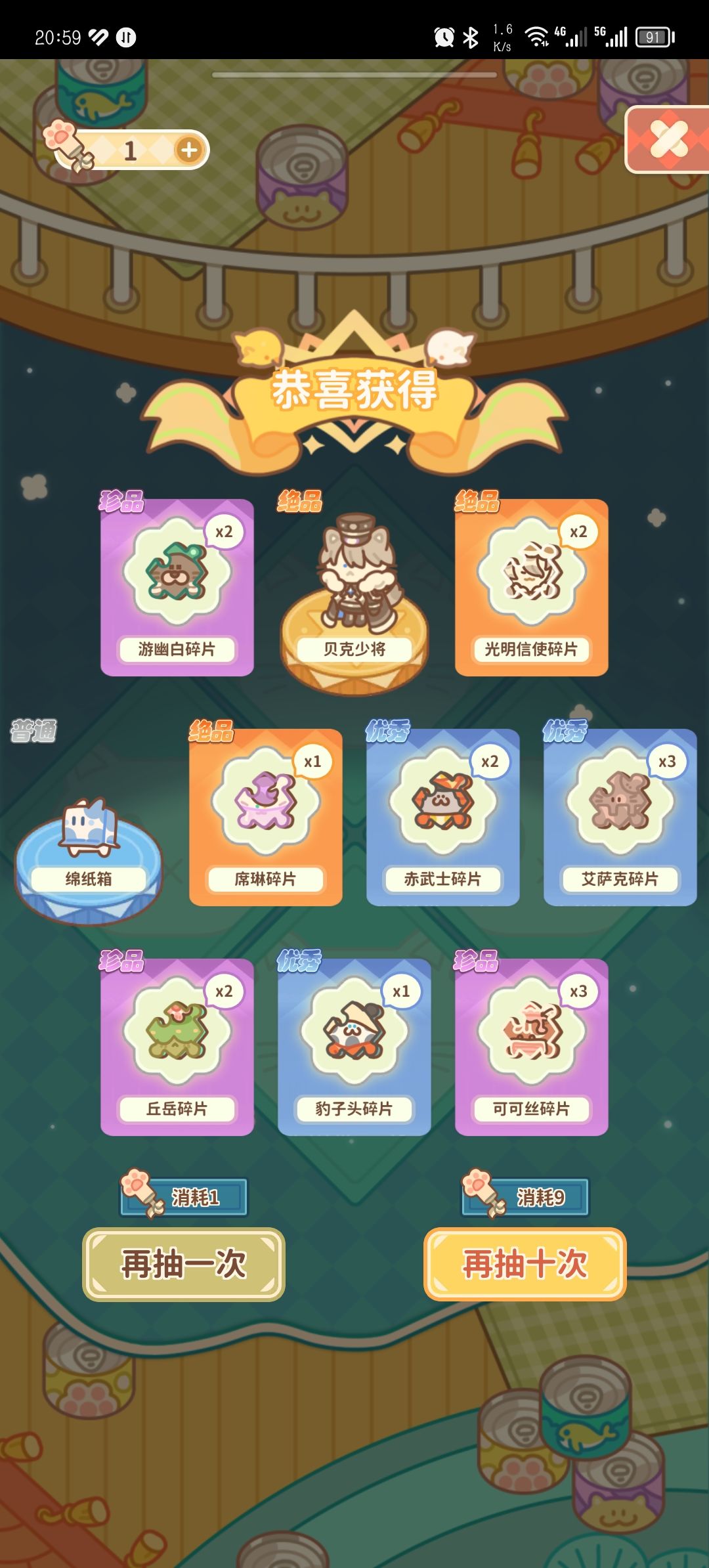可爱猫猫 1