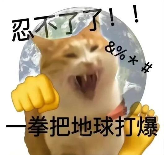 来自一个没抽到红莲,桃乐丝的非酋的抱怨截图