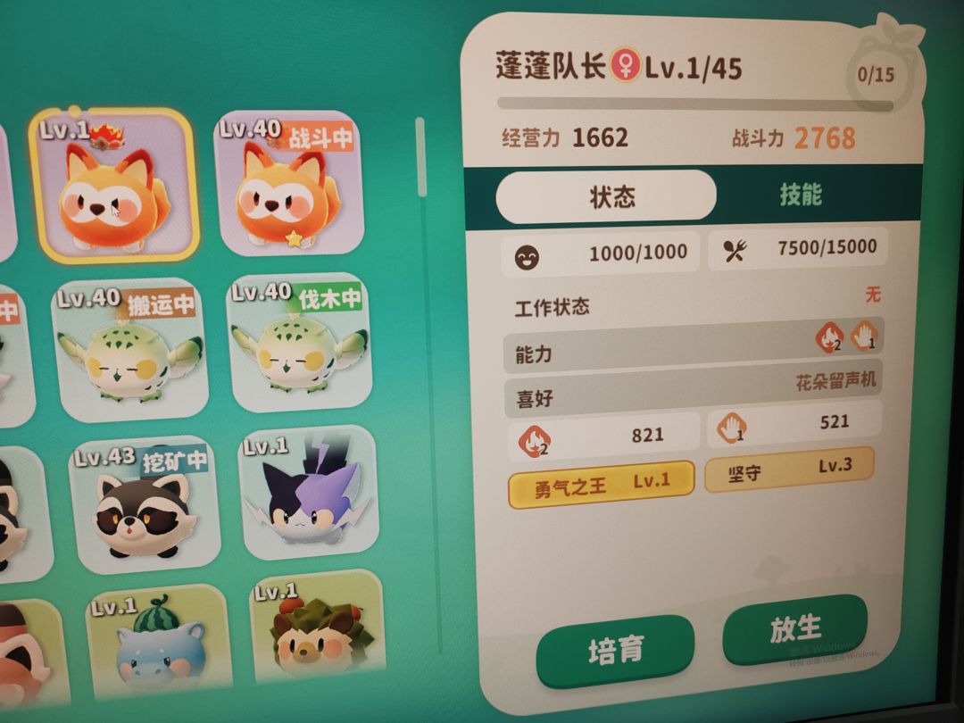 动态图片 4