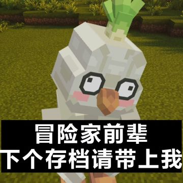 我的世界·方块共创建筑联机招募✨