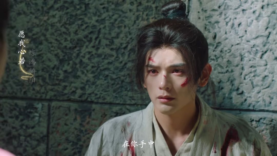 小狗是真的帅啊 1