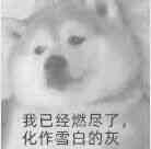来来好友 3