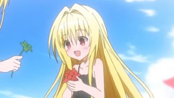 哈基岁の圆角日志（要不到饭篇）