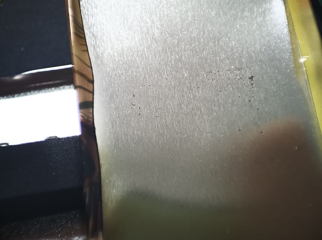 破防了，海螺肉我恨你 3