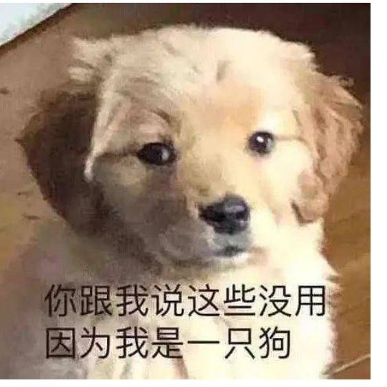 攻略贴 1