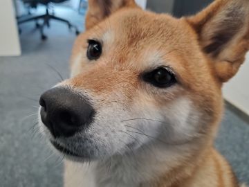 游戏将于今晚 22:15 停服维护，持续1小时。