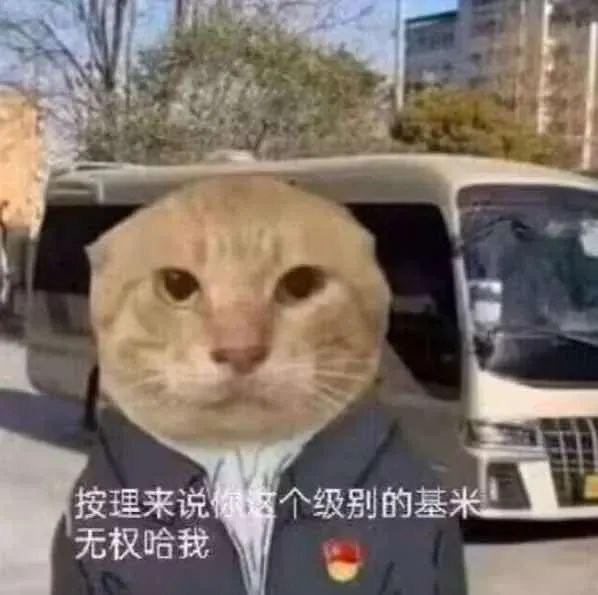 一区家族招人啦 1