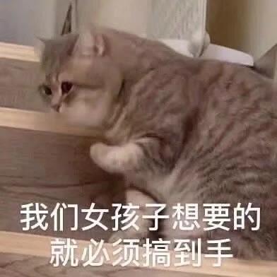 动态图片 9