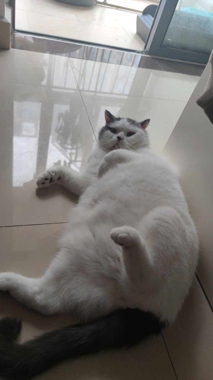 重铸截图
