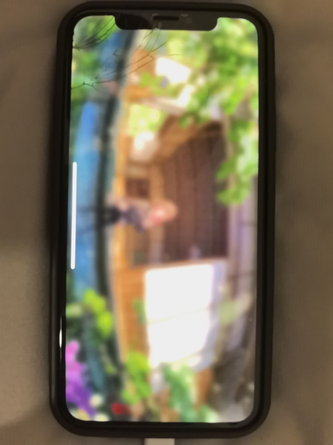 只剩一张模糊的画面了 1