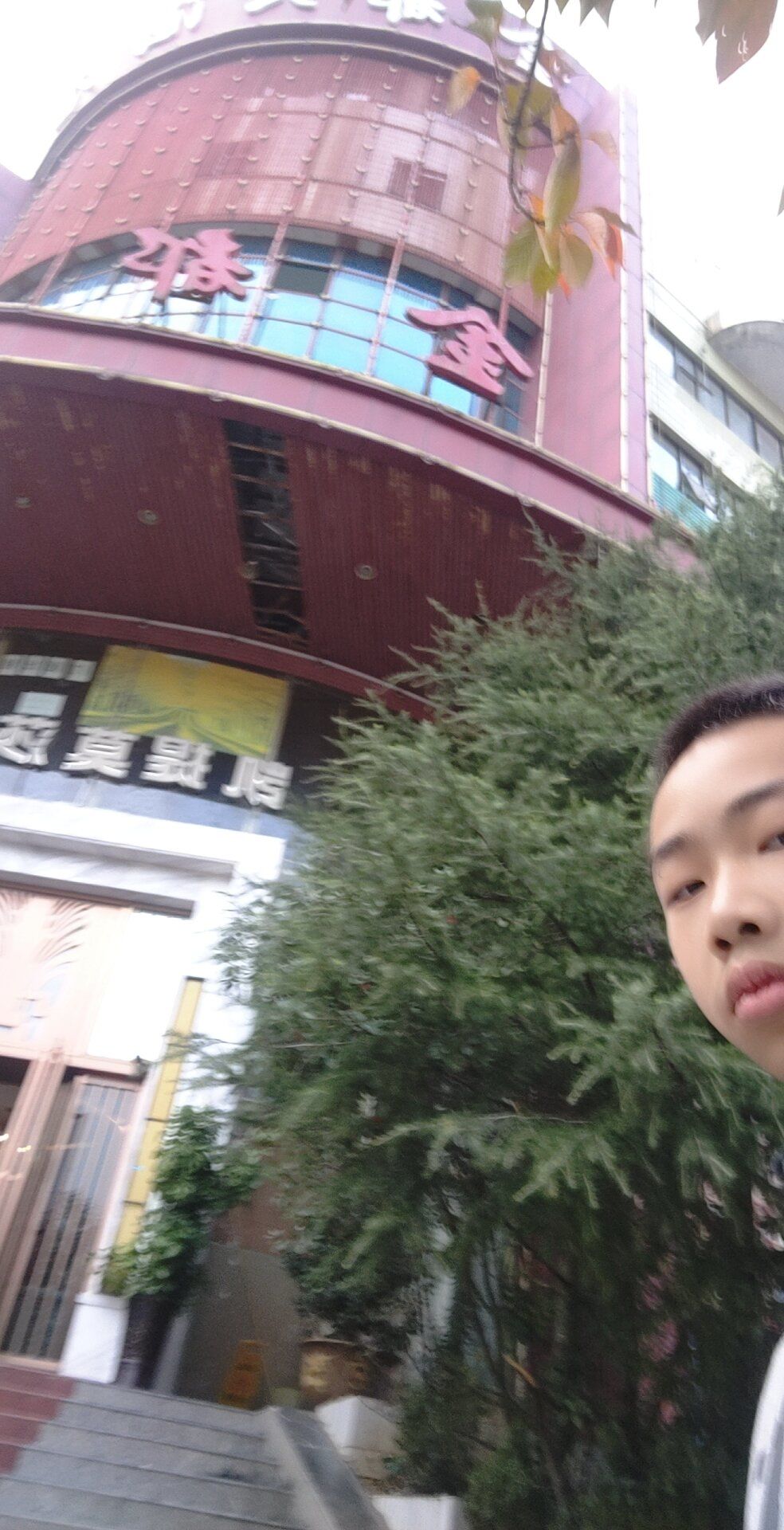 动态图片 5