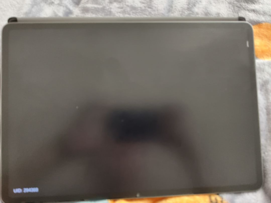 这是什么时候的Bug 2