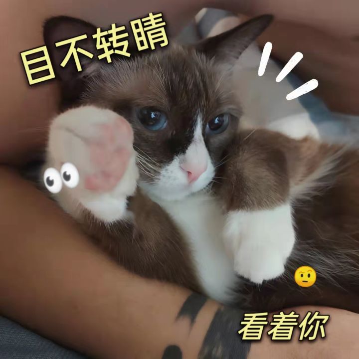 萌新想收个号😃截图