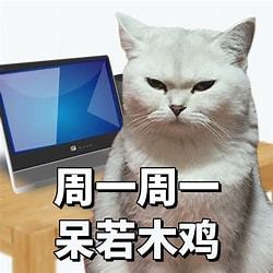 【聚光灯 GameJam|开发日志 Day5】基本首尾 1