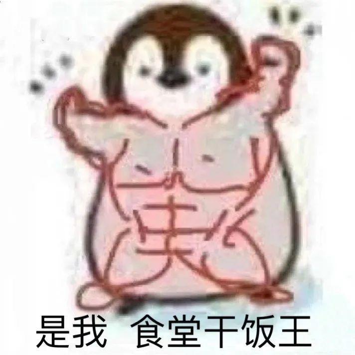 新人入坑截图