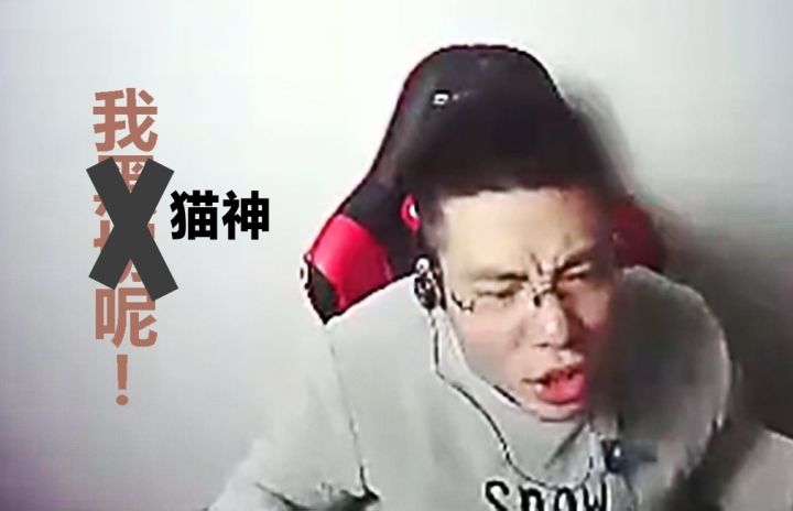 我猫神呢?截图