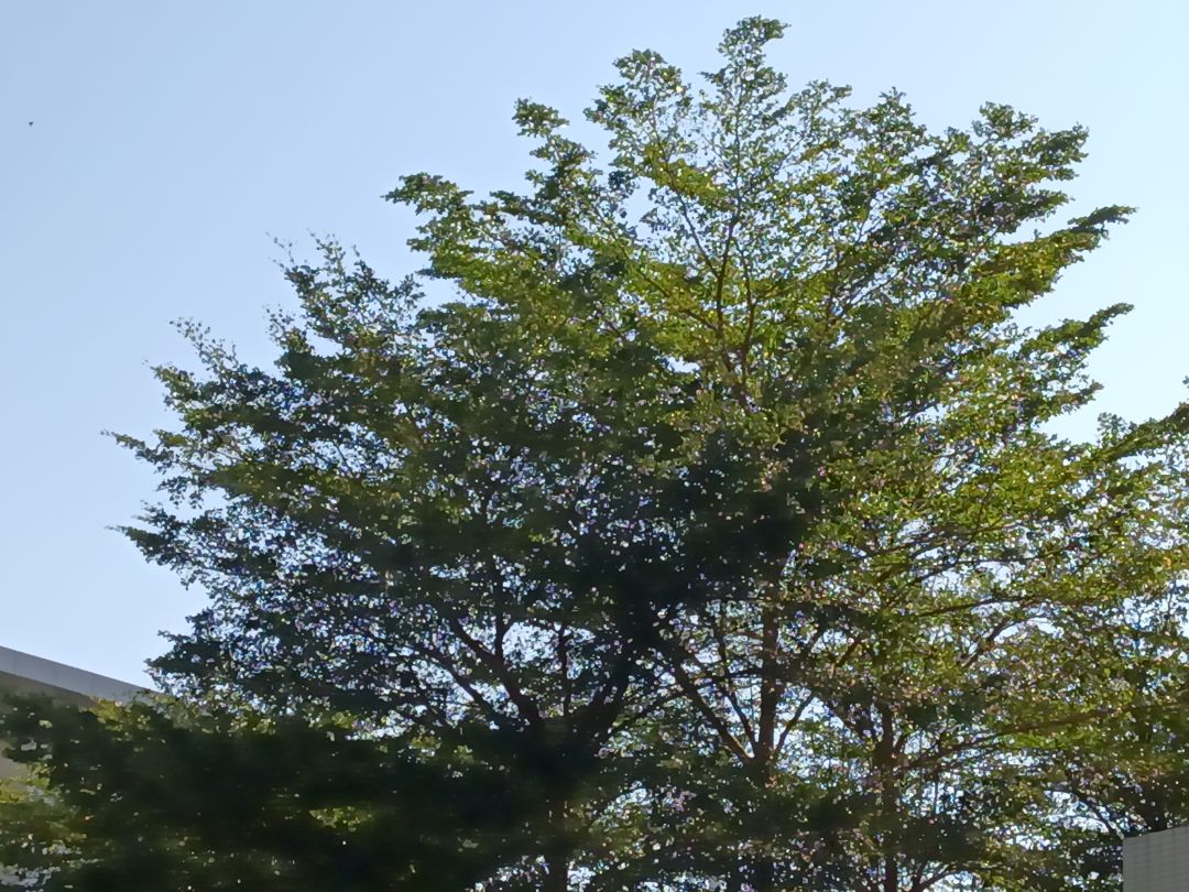 一上线都光秃秃的，原来这就是立冬了 3