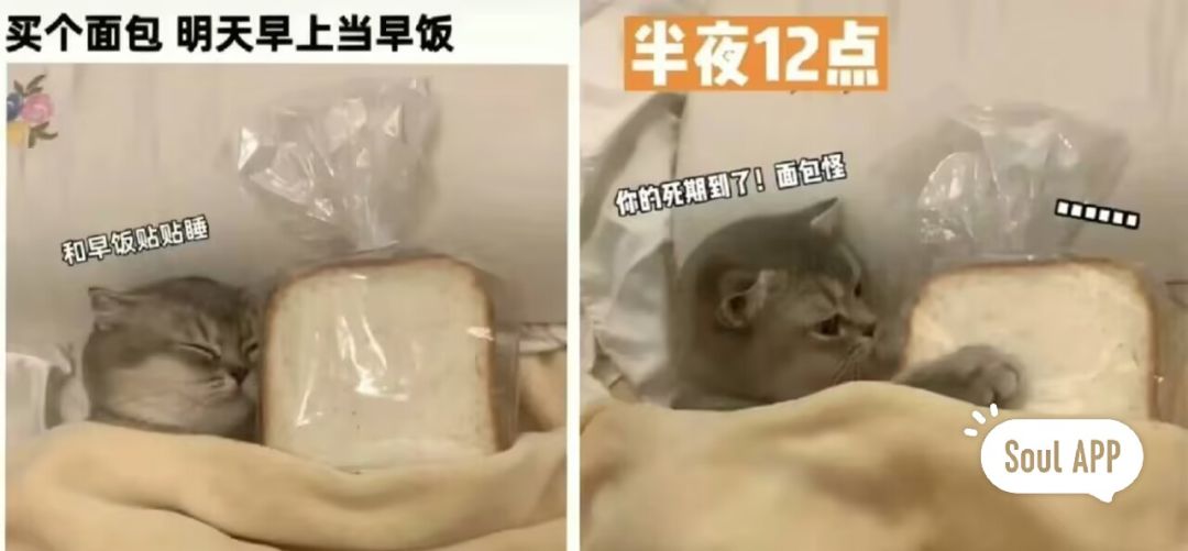 未曾失败的人恐怕也未曾成功过截图