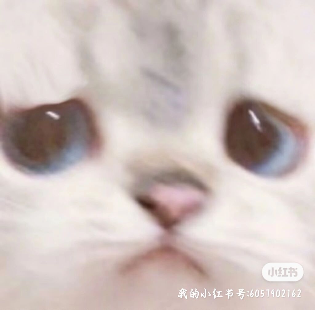 求助,遇到这种情况该怎么处理 3