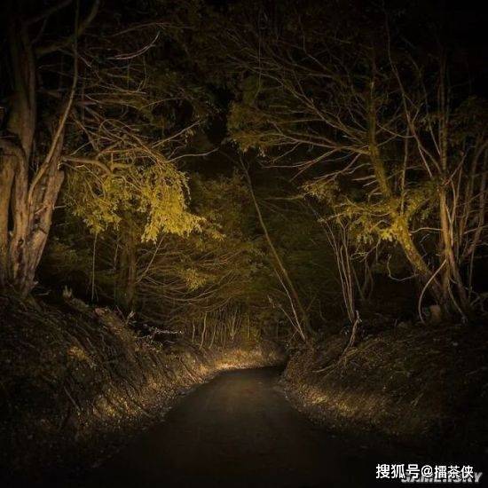 白嫖党提问,氪金狼是随着装备数值膨胀,将来加的魔力百分比越来越少吗?截图