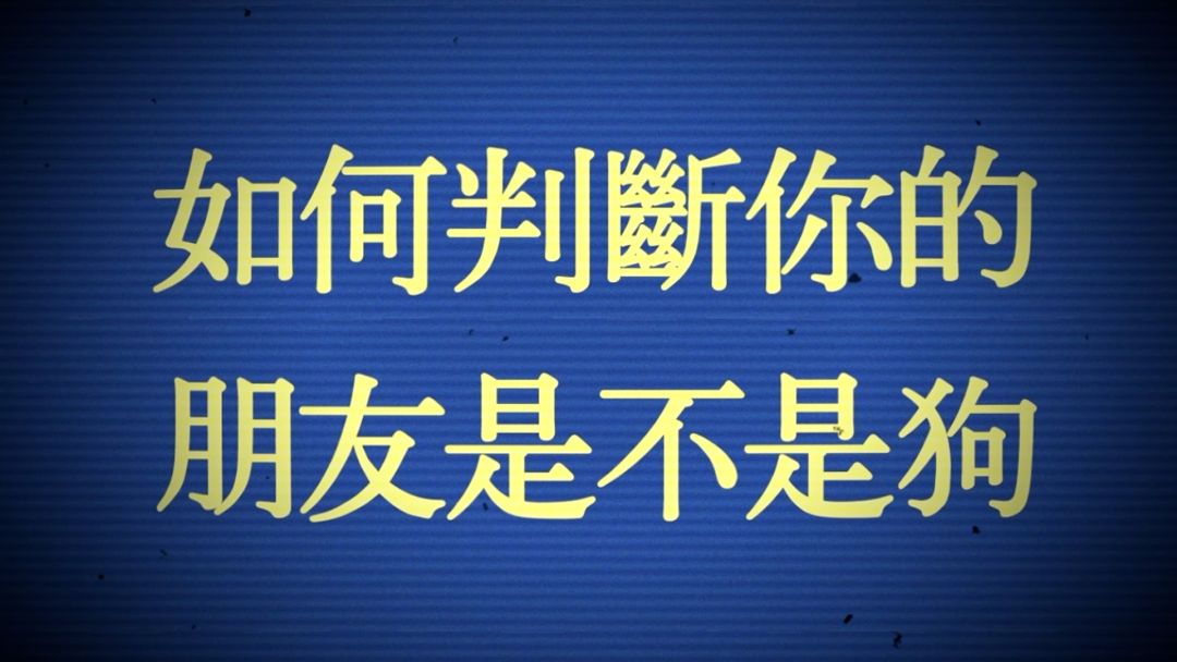 怀疑朋友是狗？教你判断方法！截图