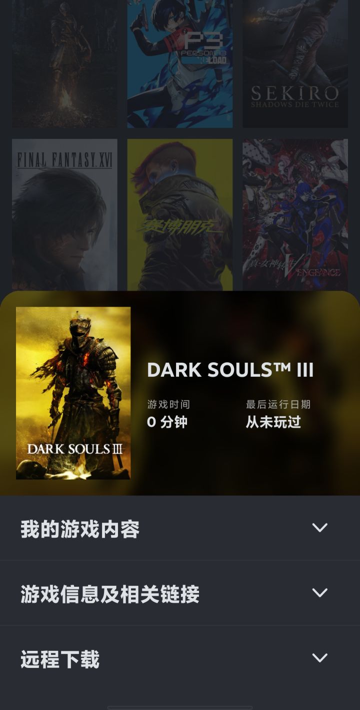 已严肃购入黑暗之魂3截图