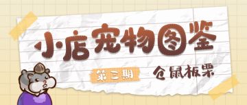 小店宠物图鉴 | 饲料堆满房，板栗乐囤粮