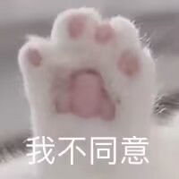 动态图片 7