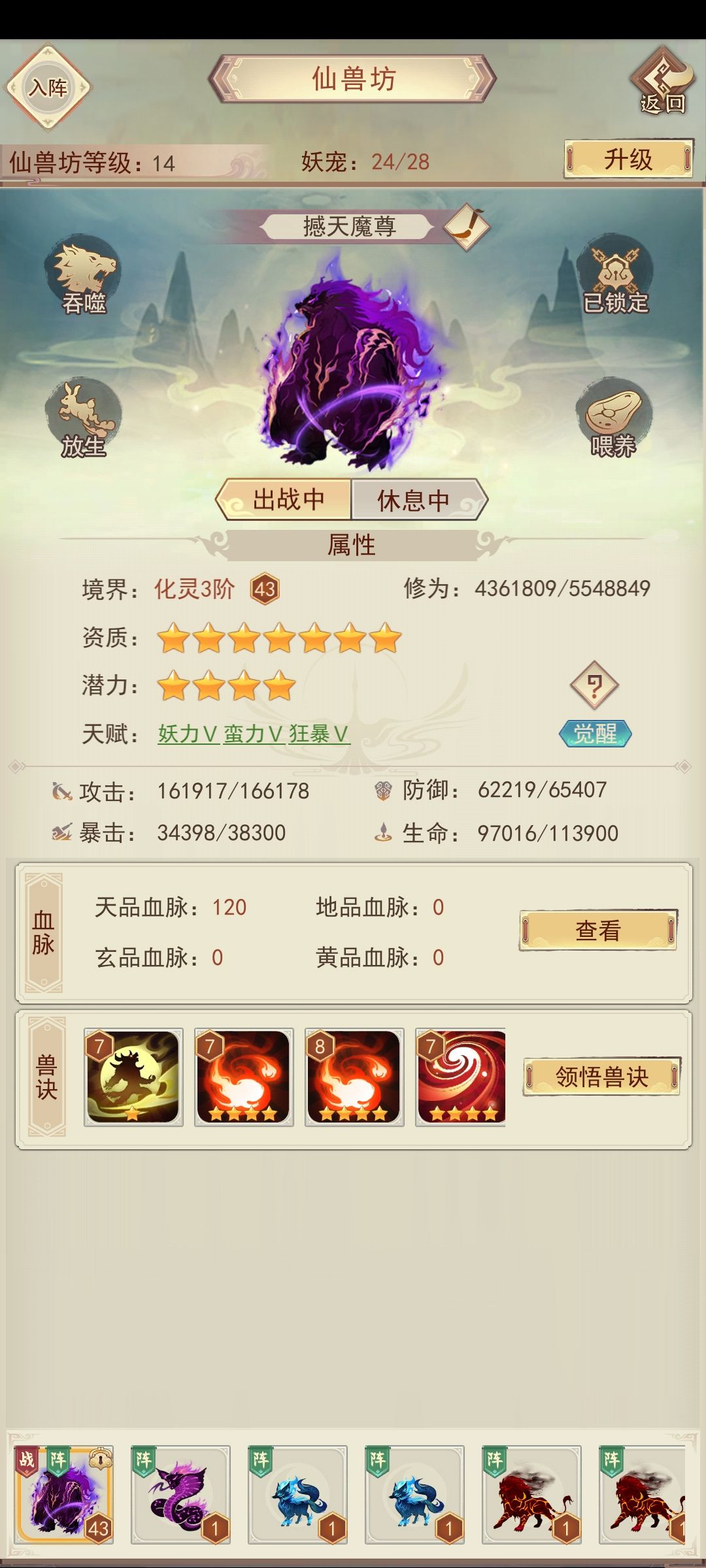 一只有梦想的熊 1