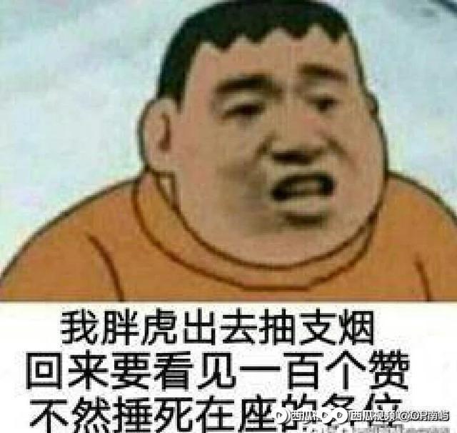 动态图片 7