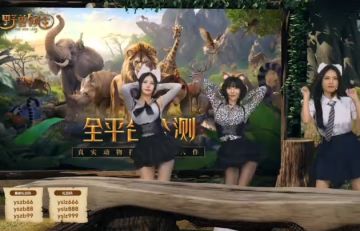 这游戏玩的人多吗