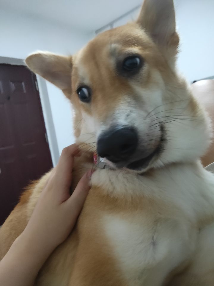 萌新想请教几个问题截图