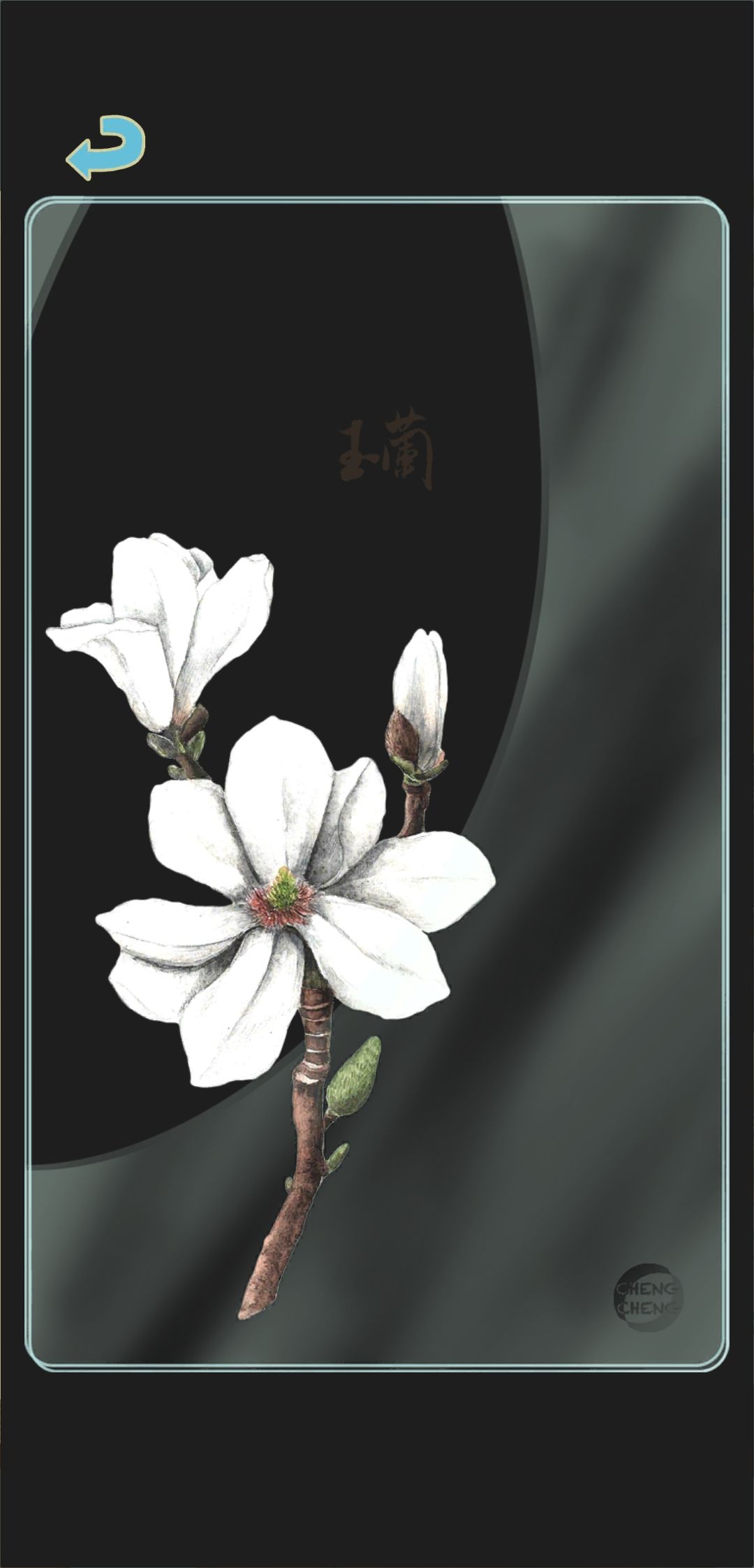 春季树种透卡3 2