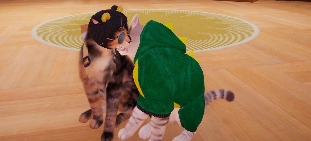 猫猫太可爱啦 2