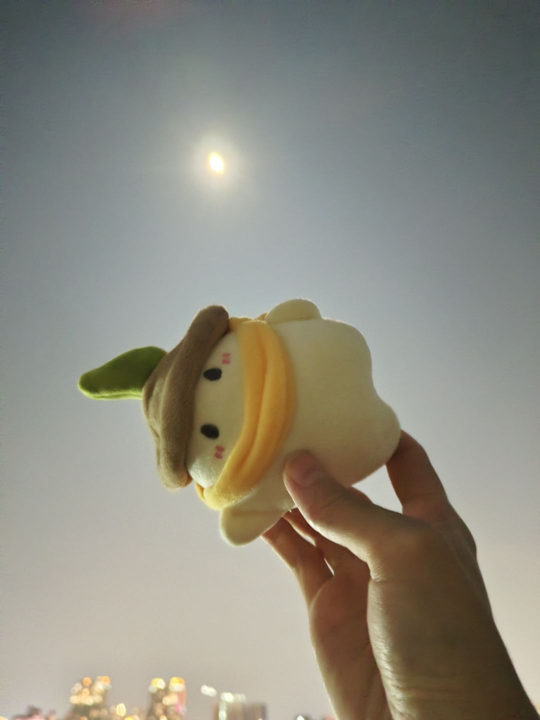 和萝千里一起赏月了 1