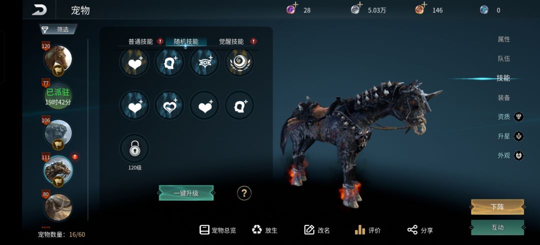 80只,就出这一只 1