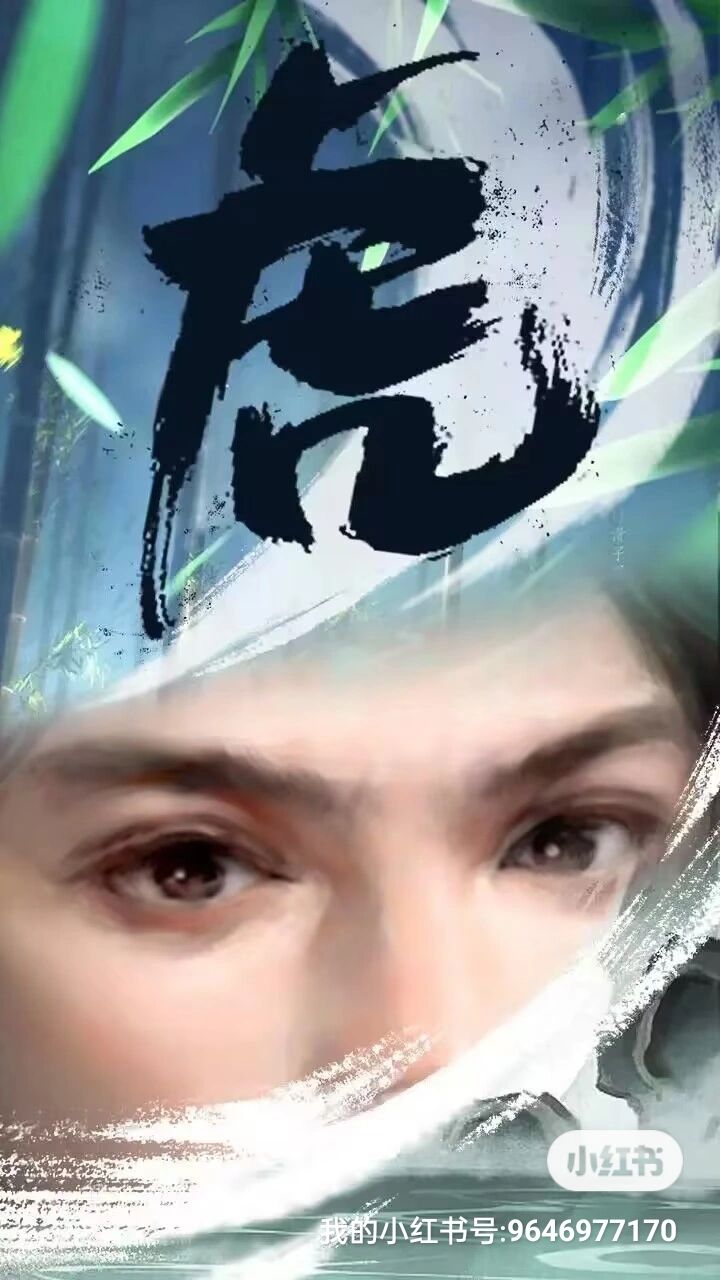 卧虎藏龙贰全新来袭!! 4